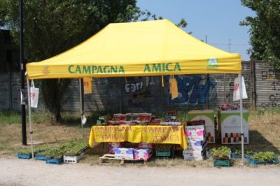 La Festa